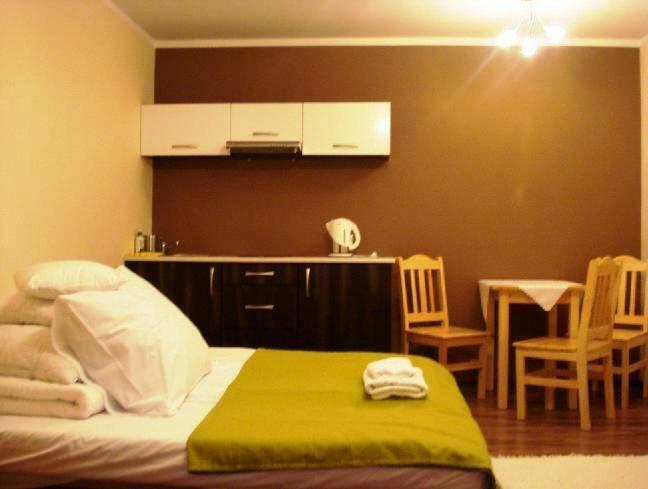 Apartamenty U Lutnika Centrum Zakopane Kültér fotó